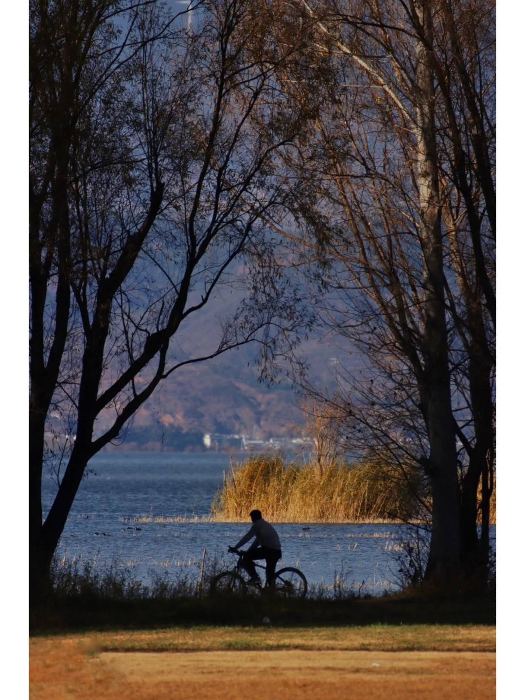 🍂大理秋天｜很可惜90%的人没去对地方…