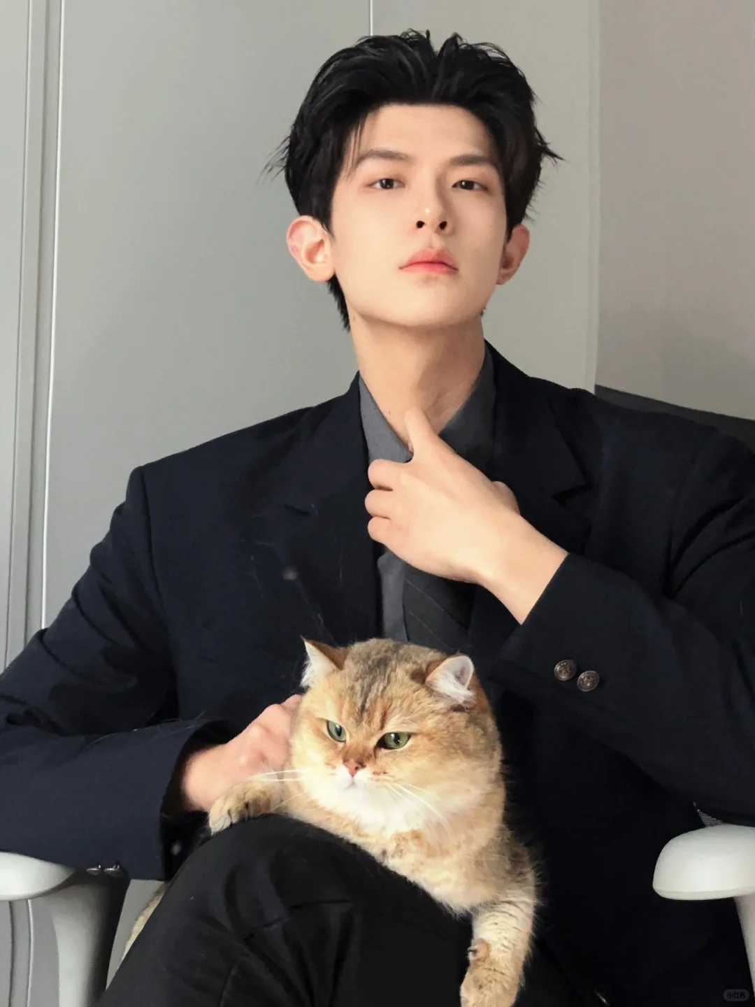 我和猫咪只能选☝️个