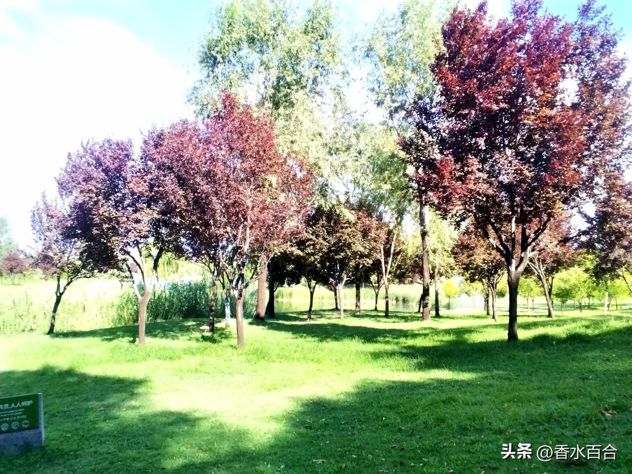 核心原因是，外裤接触外界，携带的‌灰尘、微生物及过敏原‌会污染床品，引起皮肤过敏