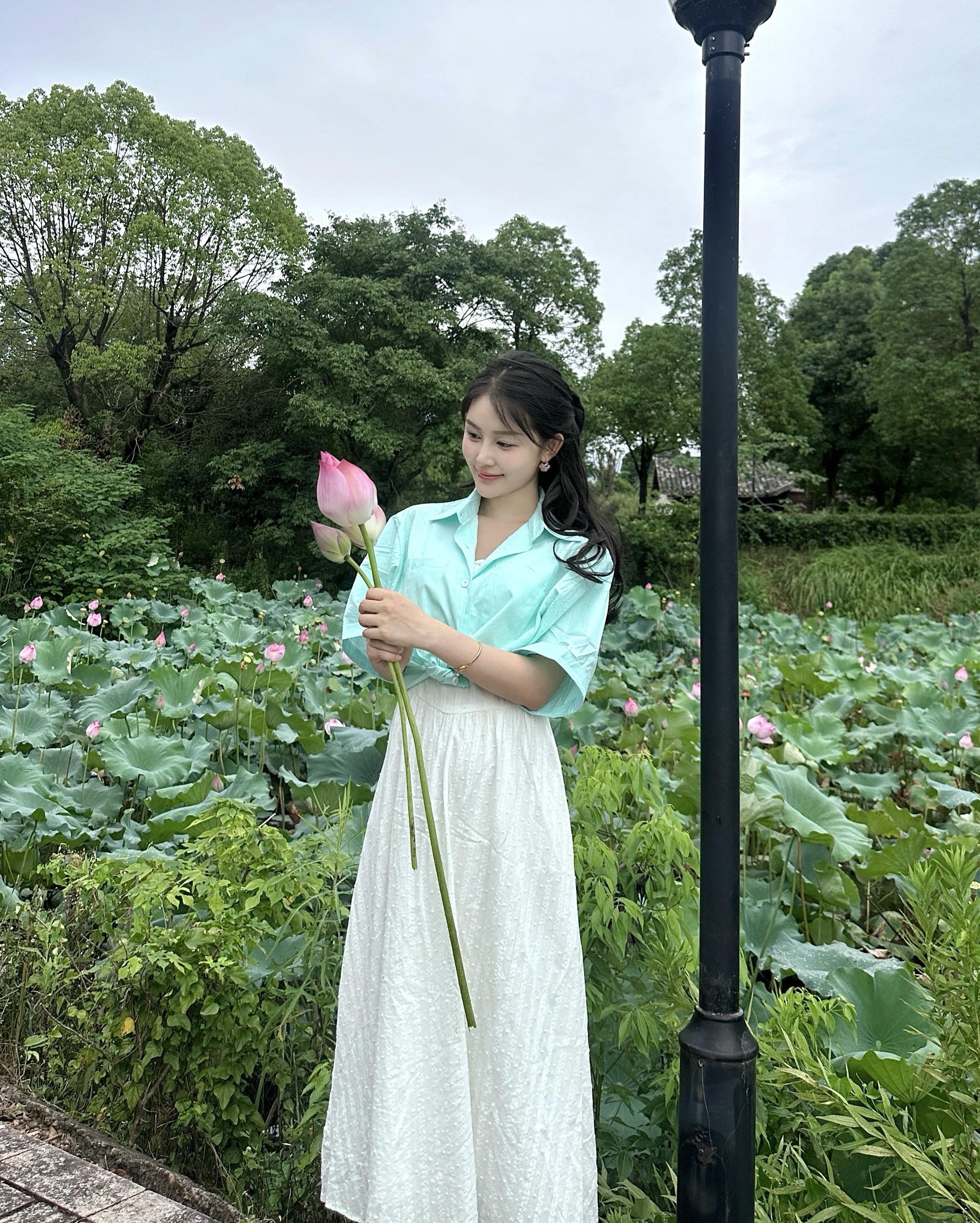 美丽荷花🪷。