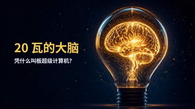 神经科学：思想如何从脑波中产生
