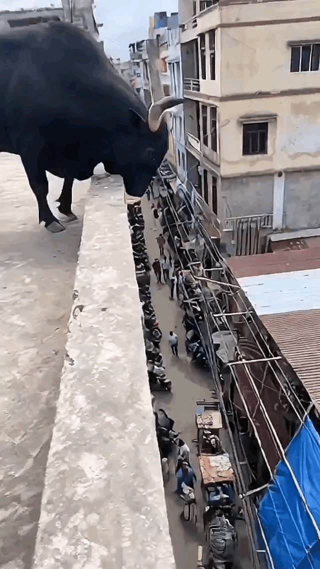 当我终于下定决心满仓梭哈时，市场给我的反馈却是这样的段永平抛出1亿元十年之约