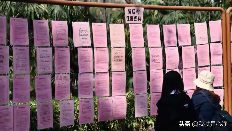 现在网络上有很多的大龄剩女在骂男人没有担当，抱怨男人不肯接盘，越来越小气了
其实