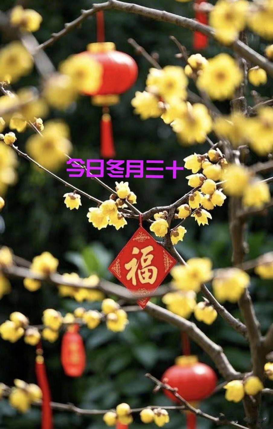 今天冬月三十，是“”晦日”，牢记“1不去、2不晚、3不吃、4不借”
十一月的最后