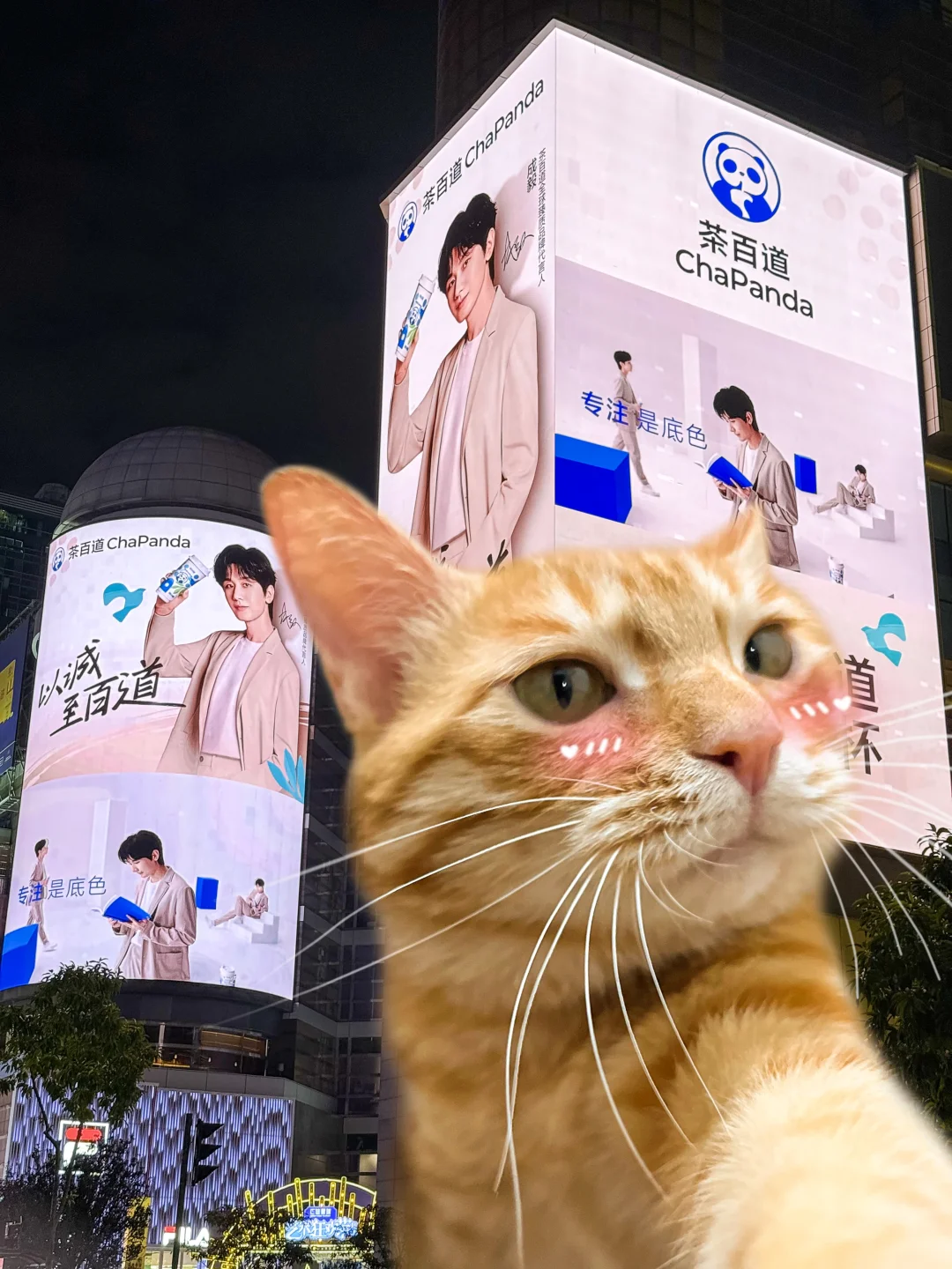 和尖叫男明星合照啦！！！