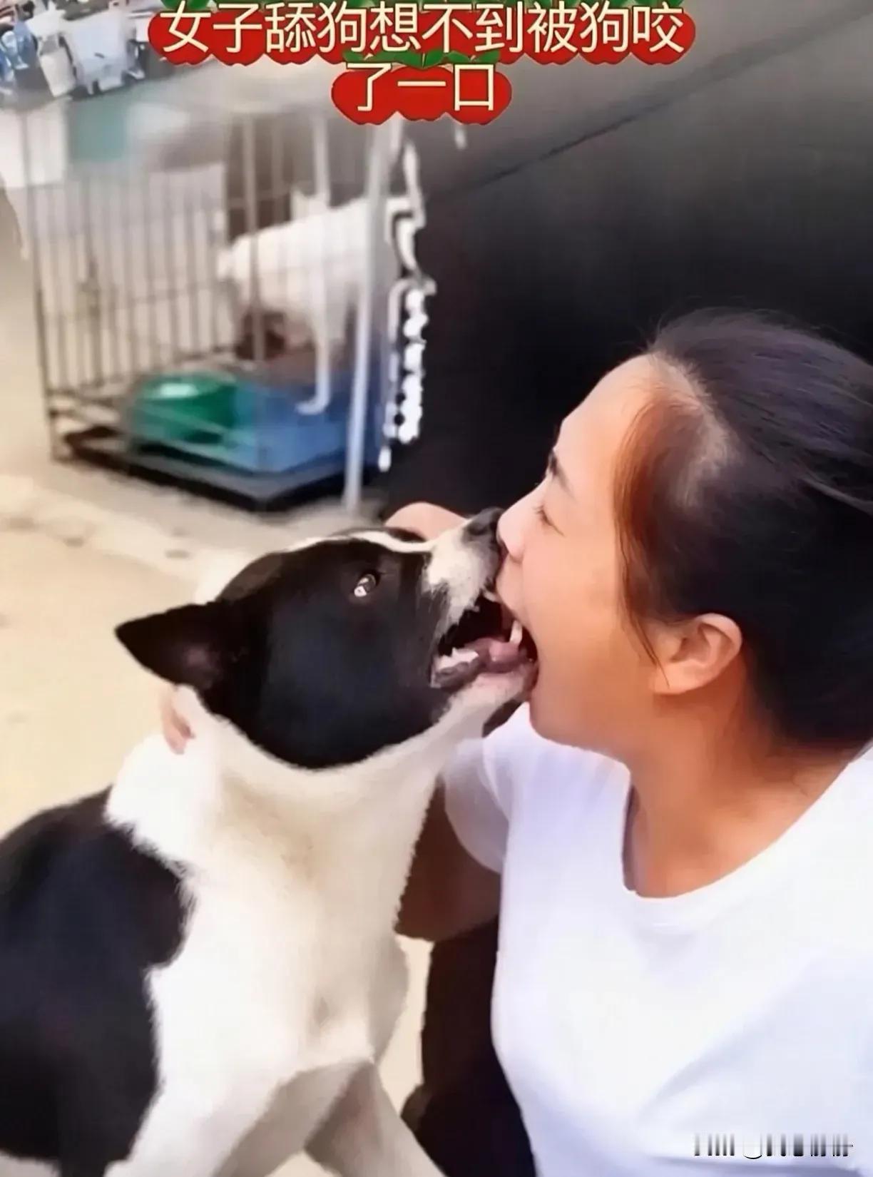 一名女子逗狗狗玩耍，凑上去强吻狗狗，反倒被狗狗咬破了嘴唇。

这事儿也道出了一个