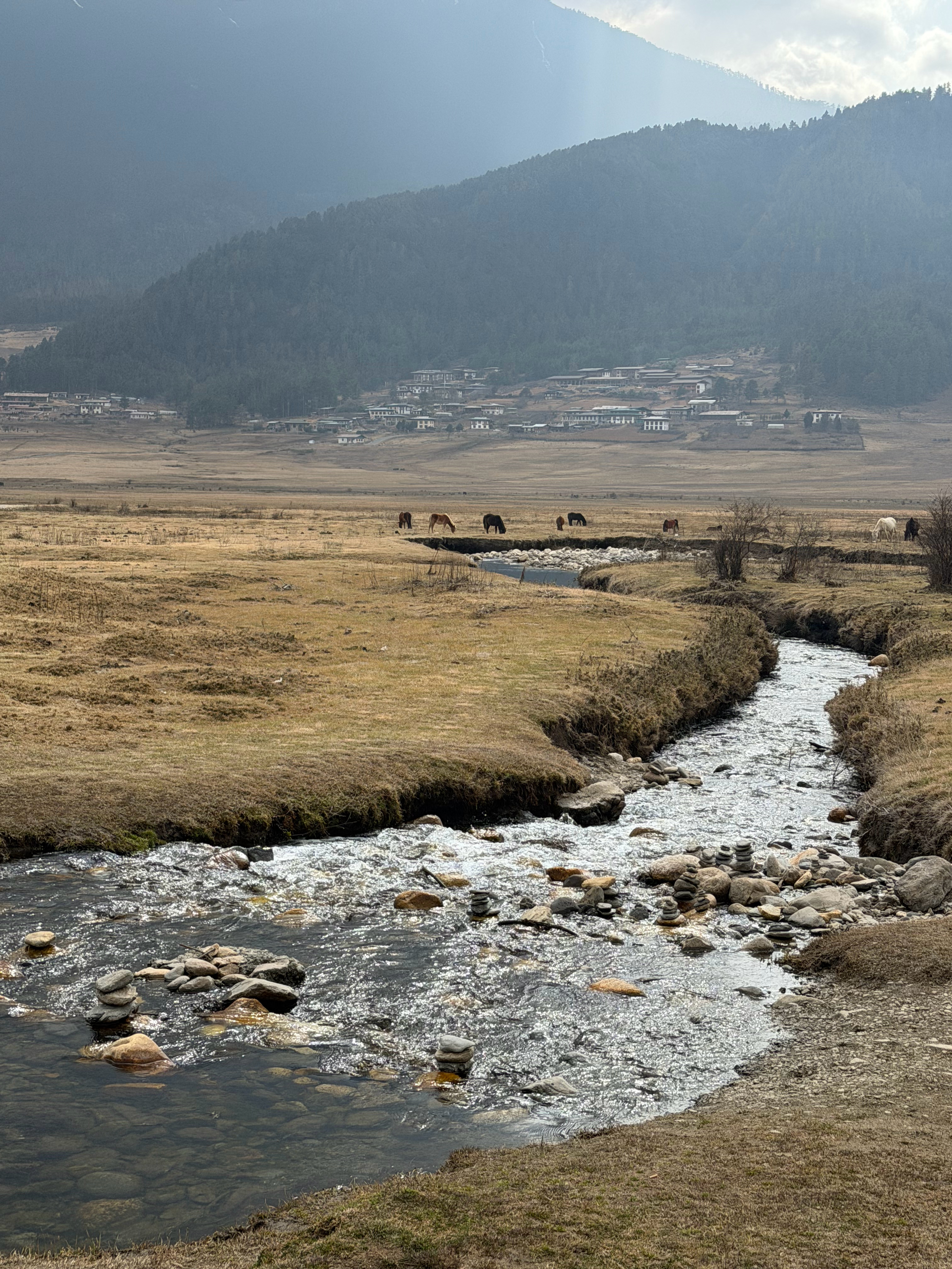 在不丹徒步中生活有星意