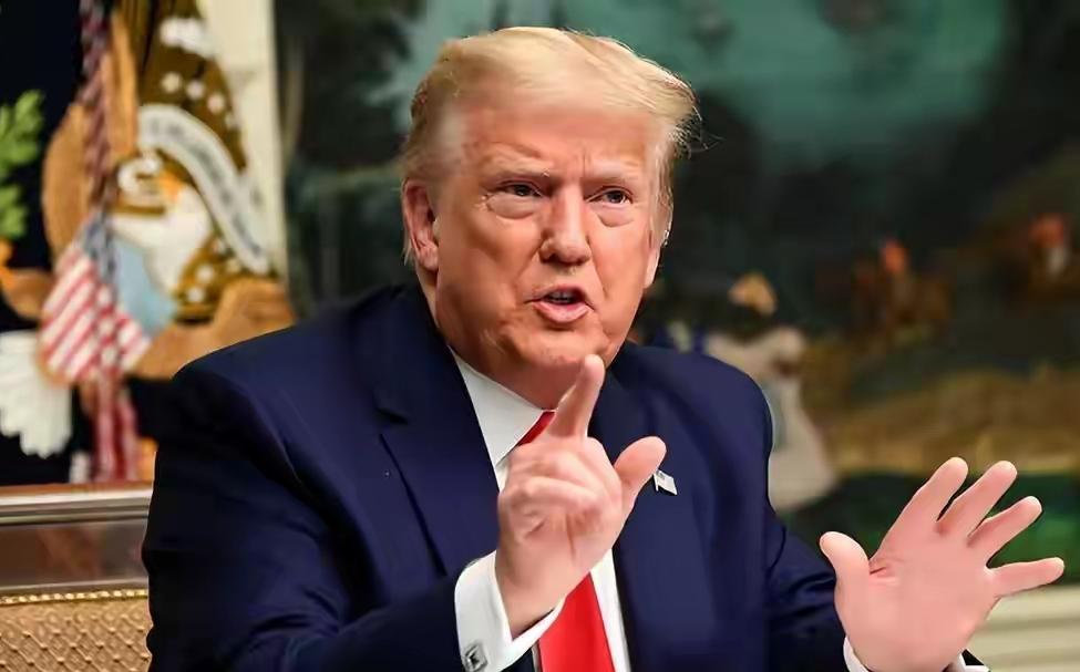 特朗普一边往脸上贴金，一边又啪啪打脸！
12月28日，特朗普说：自己是维和功臣，