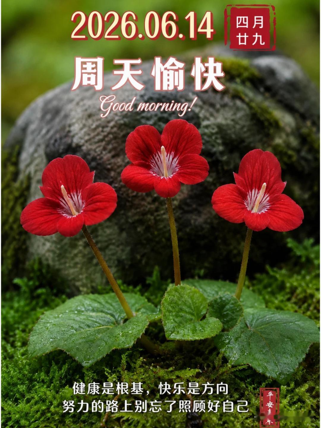 如何看待中国对日稀土出口限制日本军国主义逐渐成为一种政治力量，死灰复燃，我们国家