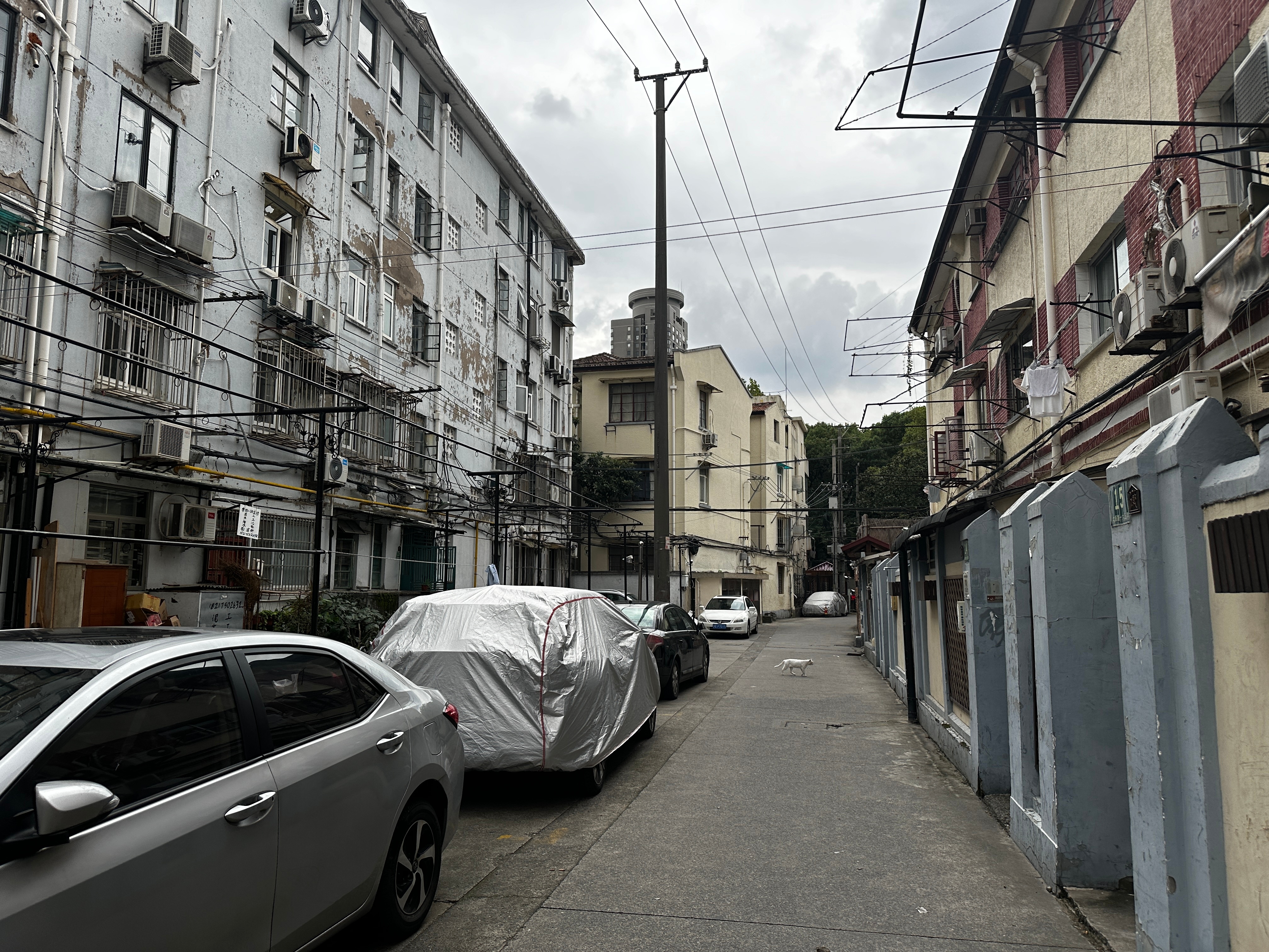 瞎逛………很传统的上海老小区………[憧憬][憧憬][憧憬] ​​​