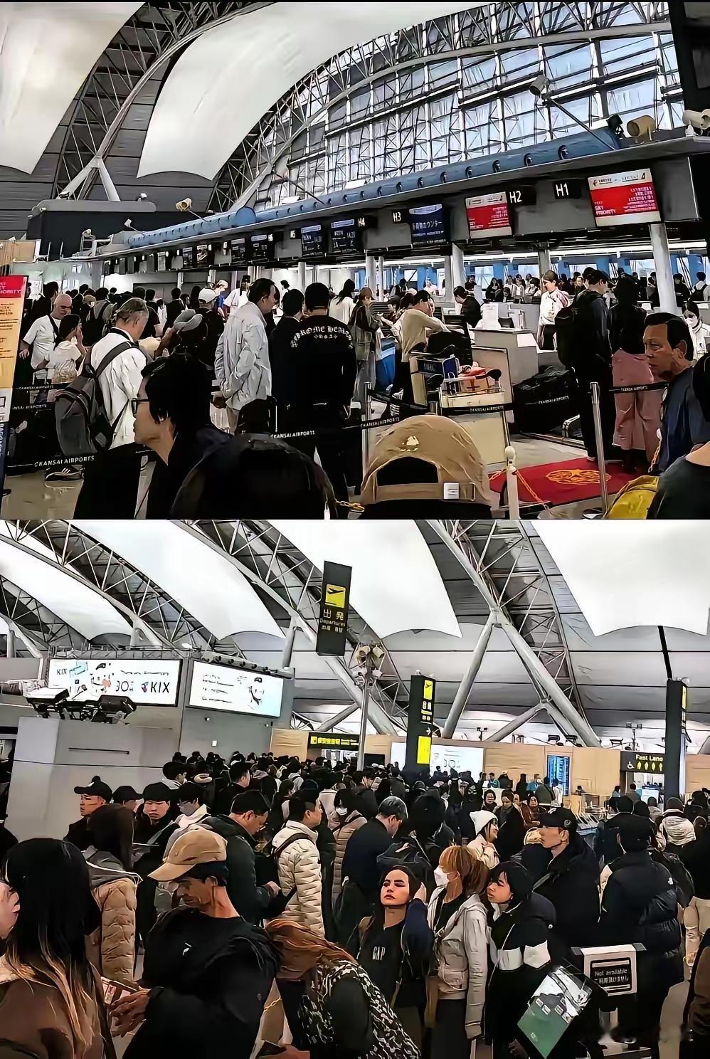 一觉醒来，
全是归国的游子，
日本机场全是中国人，排成了长龙，里三层外三层，有些