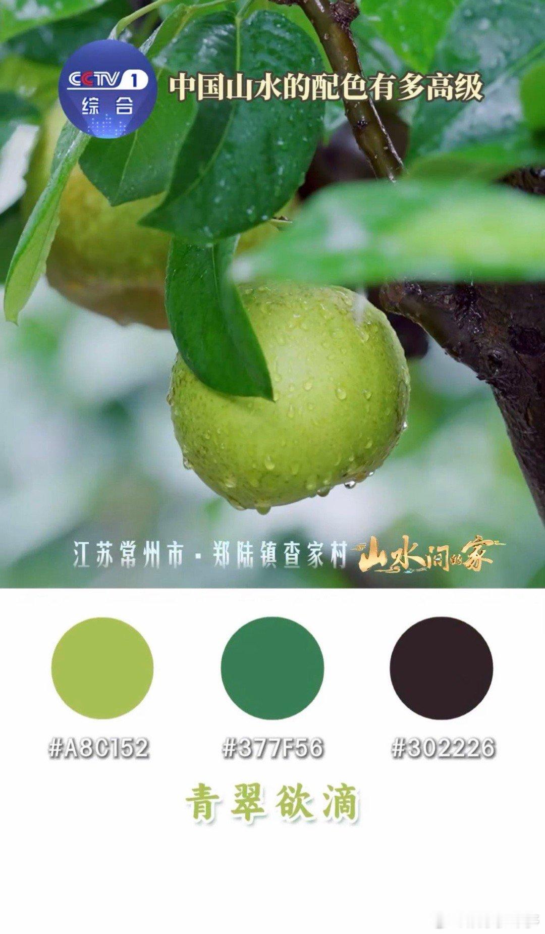 这里是中国 小区楼下的重阳节活动超热闹，志愿者帮老人剪头发、测血压，孩子们给爷爷