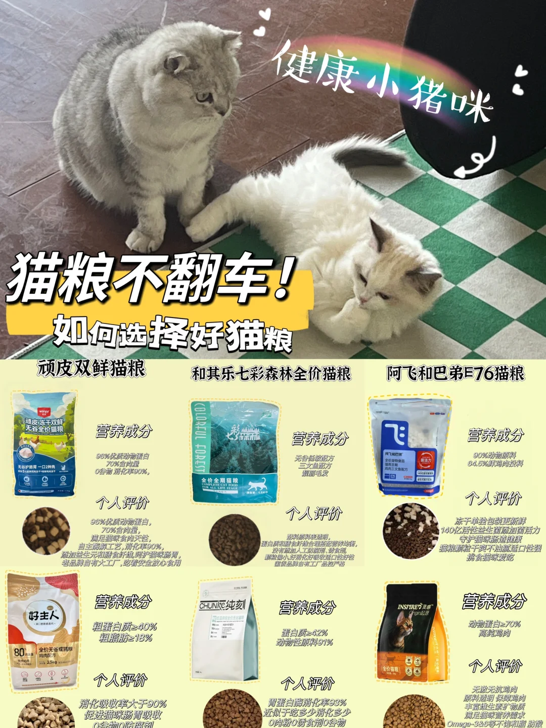养🐱总是拉稀？跟我学习养猫不生病‼️
