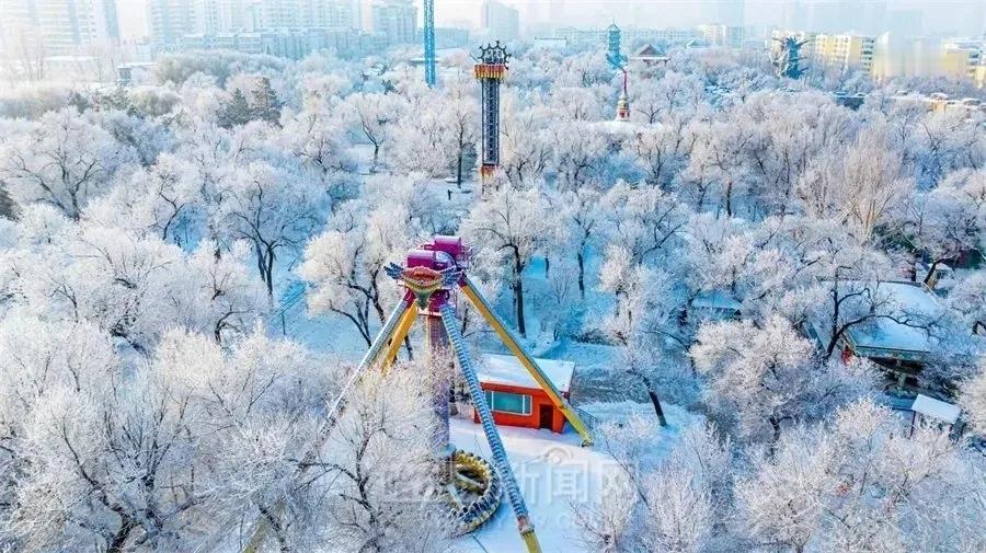 泪眼看世界，眼泪是最真情的告白。现场直击，谁让眼泪在飞。
比起离别尔滨的依依不舍