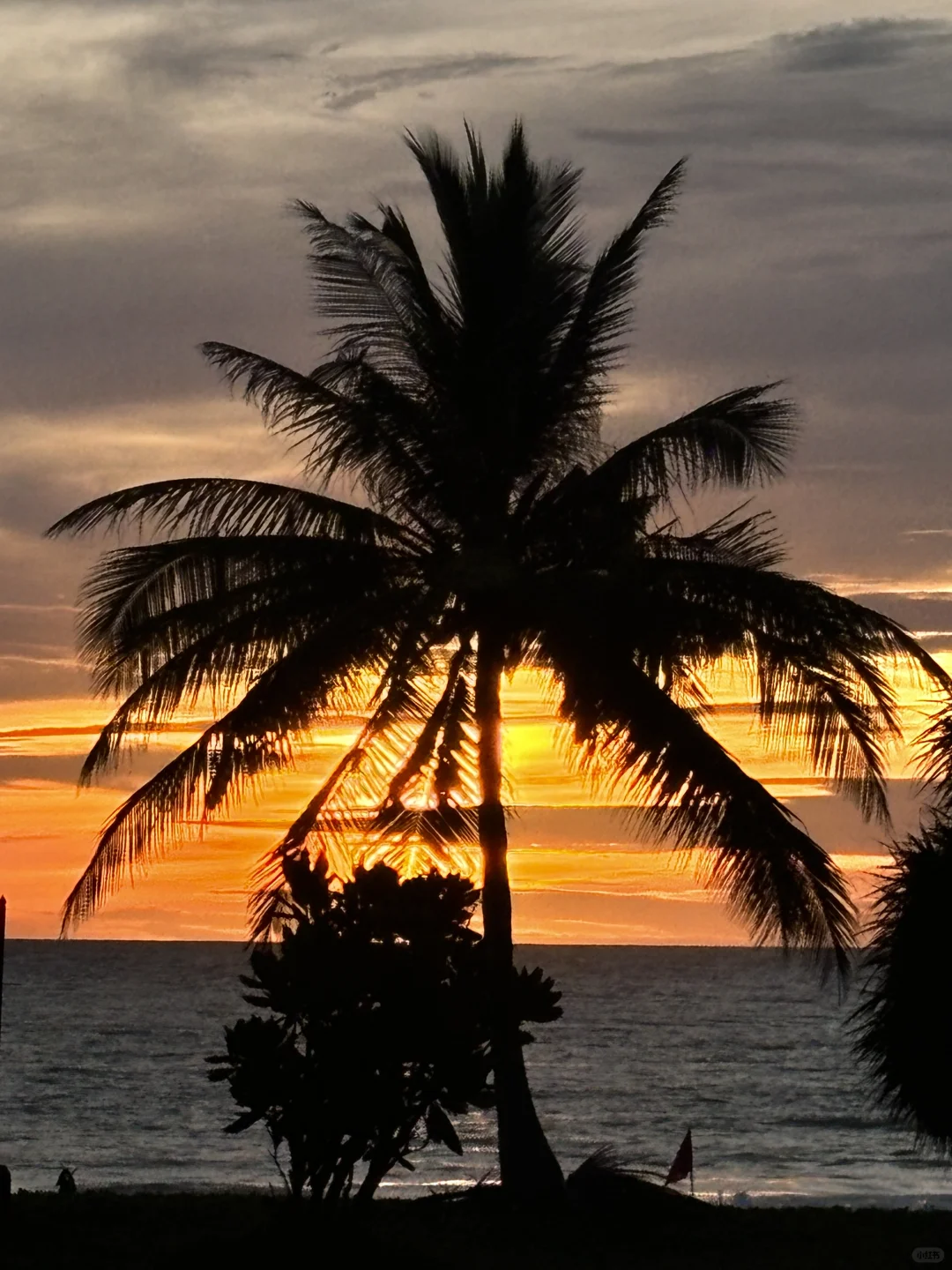 𝒔𝒖𝒎𝒎𝒆𝒓 𝒊𝒏 𝒑𝒉𝒖𝒌𝒆𝒕