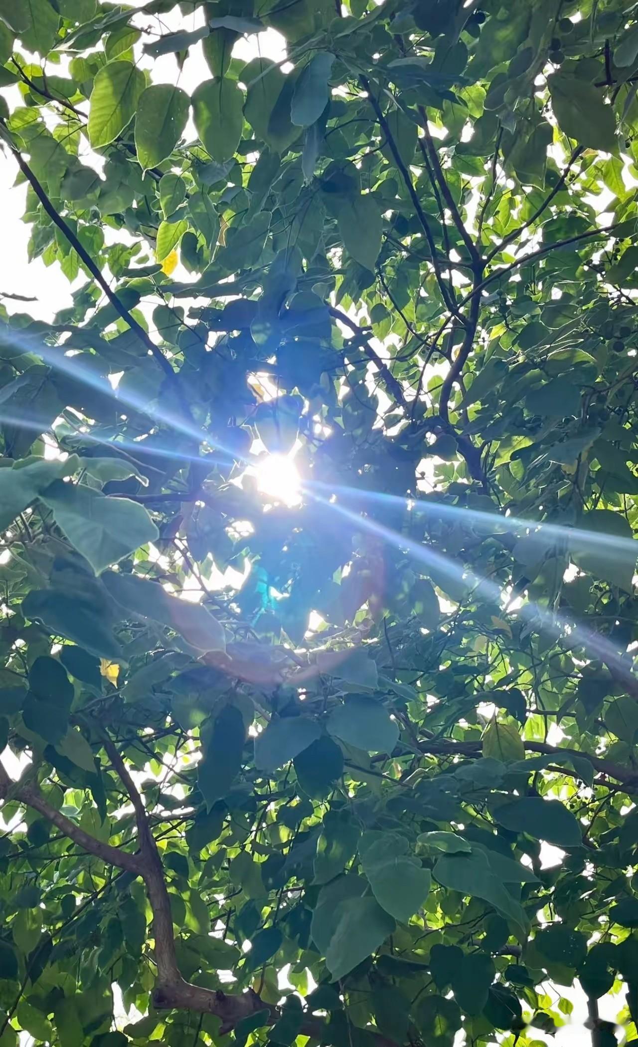 这下大家放心了，
再过6天，也就是8月14号，
全国各地都将正式进入末伏阶段，一