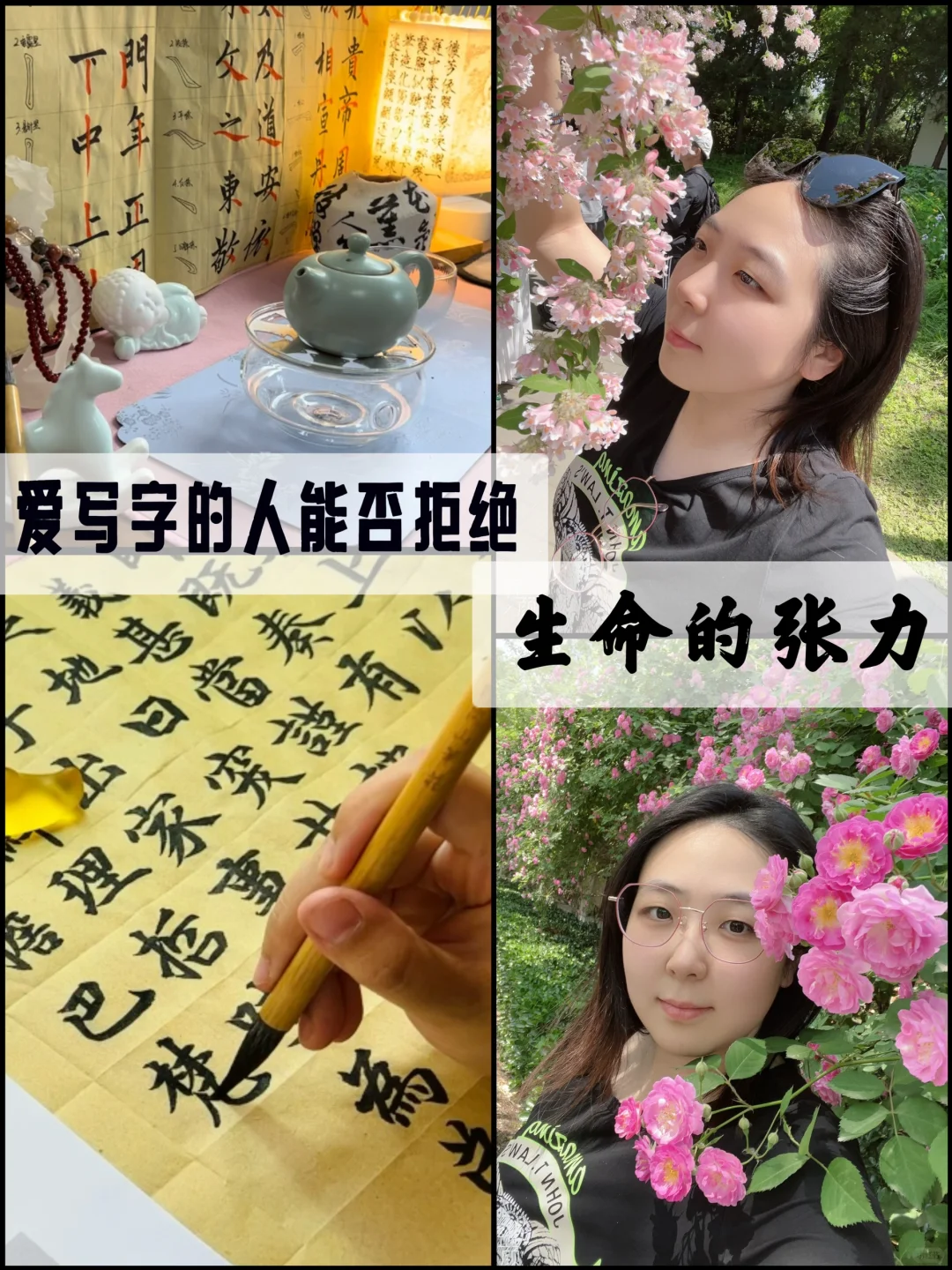 别再去奥森拍蔷薇了🔸紫竹院已经next level