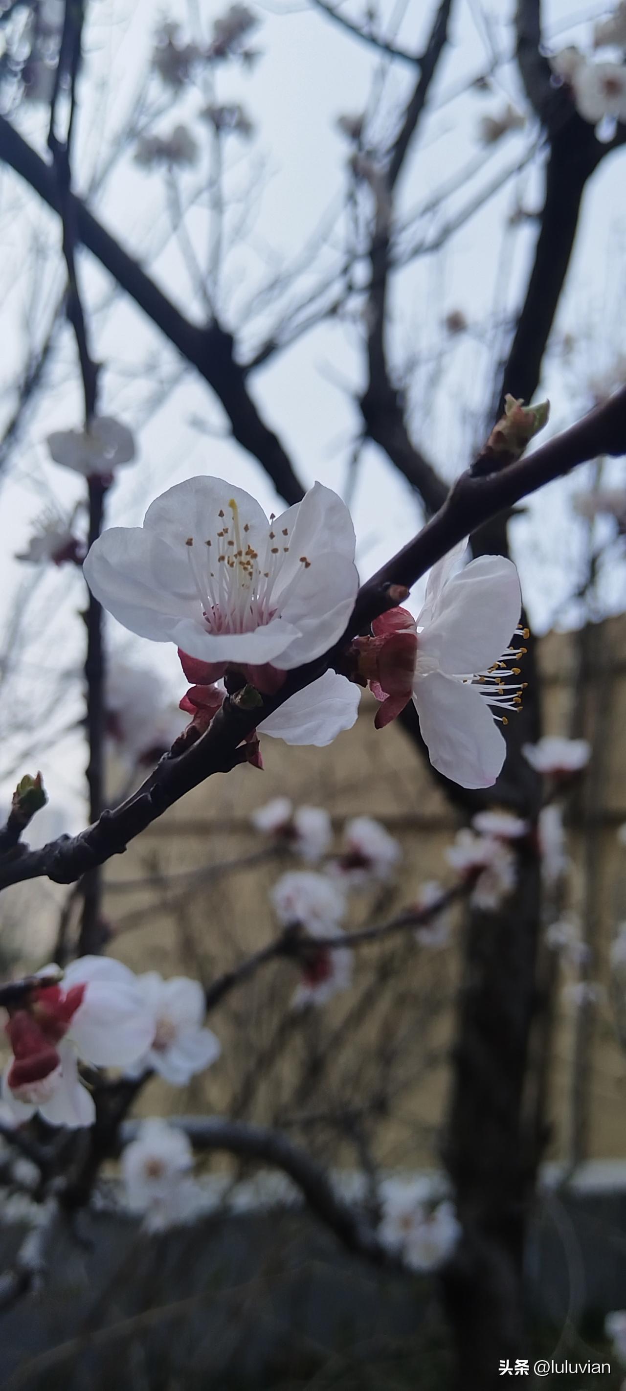 老人帮忙把孩子带大了，是让他们回村呢？还是让他们继续留下来同住？
看网上很多人在