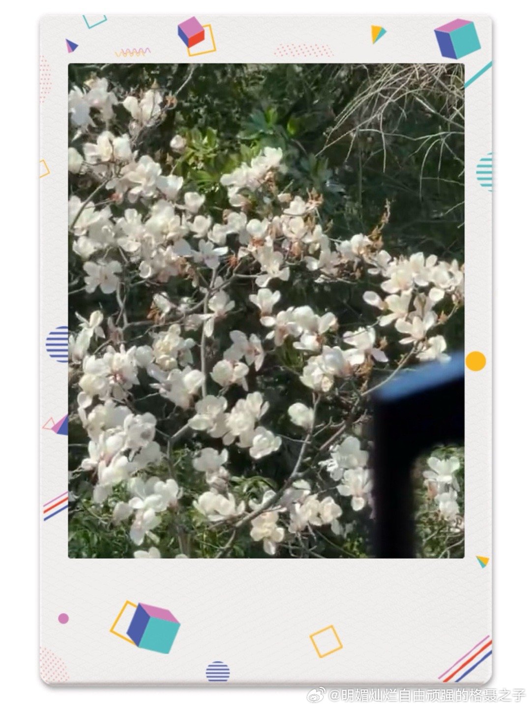 等雨停，等风来 