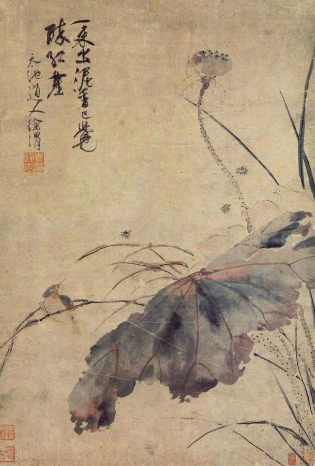 【大写意花鸟鼻祖徐渭，为何最爱画残荷破叶？】

为什么后世无数绘画大师都推崇徐渭
