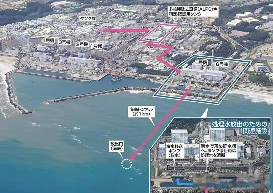 日本核污水排放到大海以后，海水颜色立马变了，由此可见里面的放射性物质有多少，对于