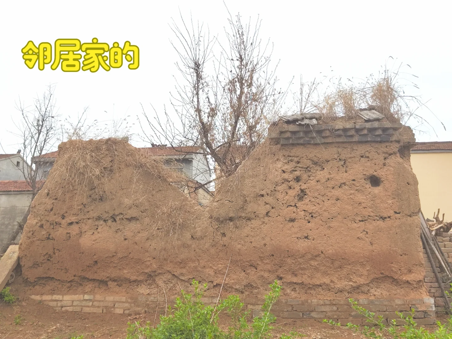 清明·门口也有好风景·断壁残垣·重生·原图