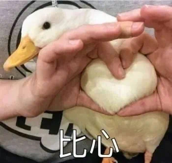 周末好鸭朋友们。+一组鸭鸭表情包，拿图嘎嘎[爱你] ​​​