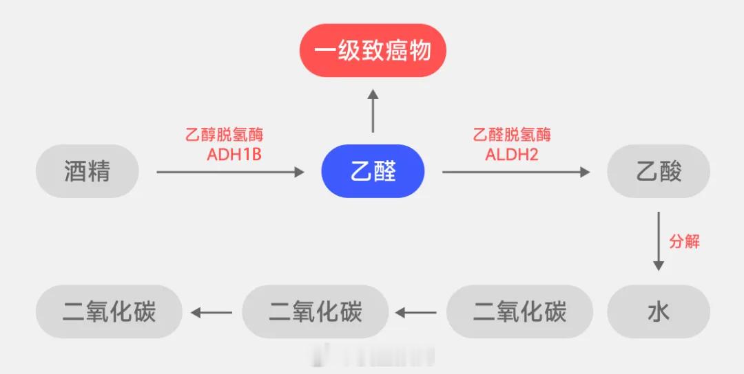 乙醛是一集致癌物。喝酒脸红，说明代谢乙醛的能力差。就不要喝了 