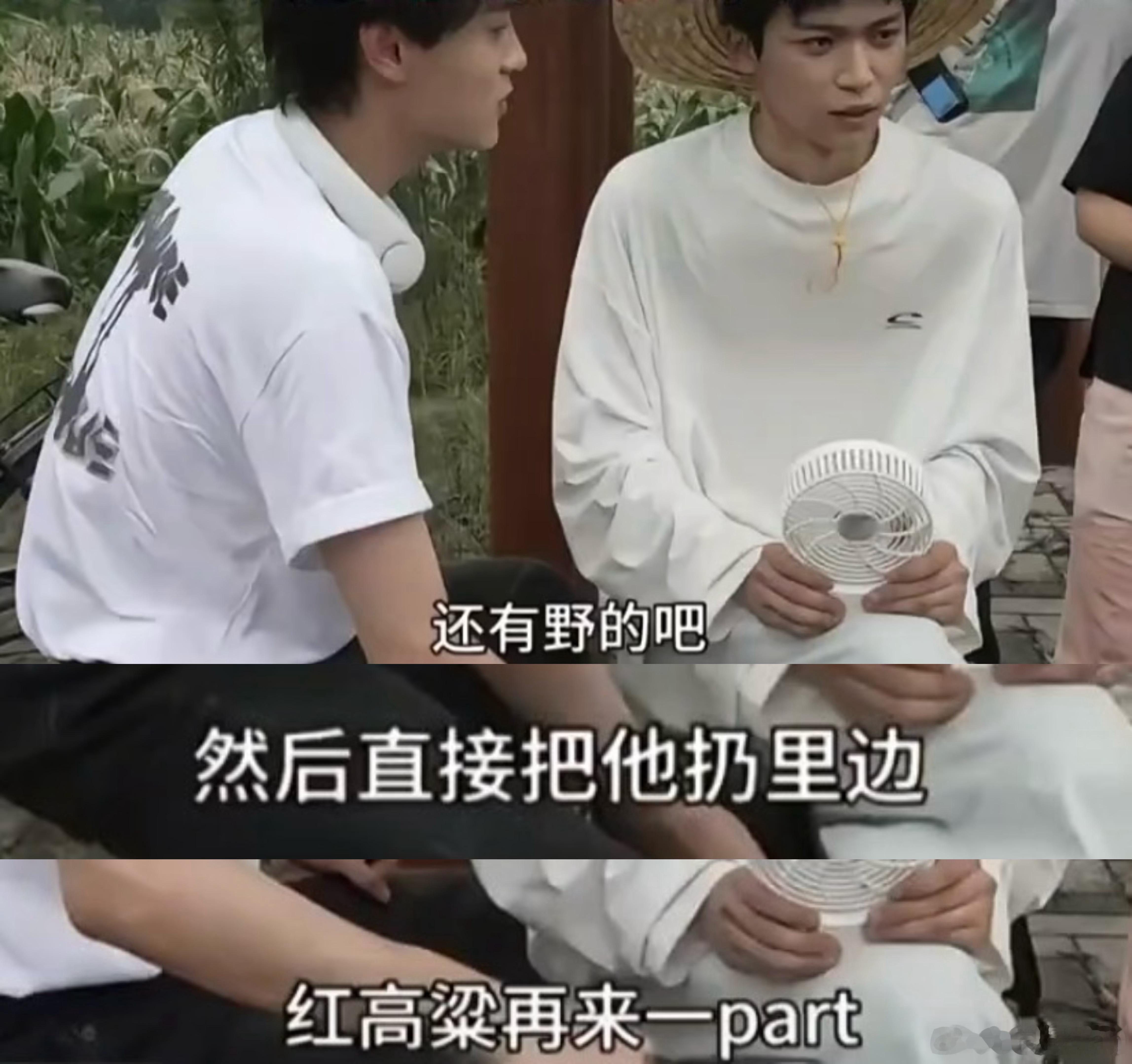 那个那个今年想看红高粱
