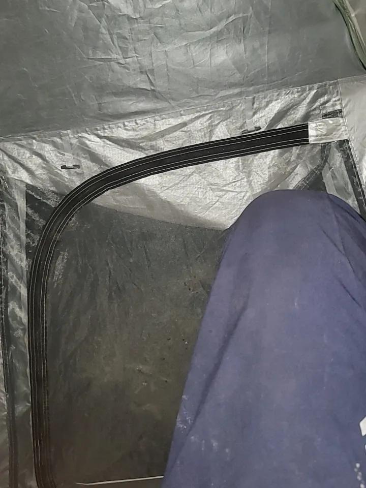 今天荔枝连给我打了好几个电话。问我为什么给了我路费，我到了河口。我告诉他，我到河