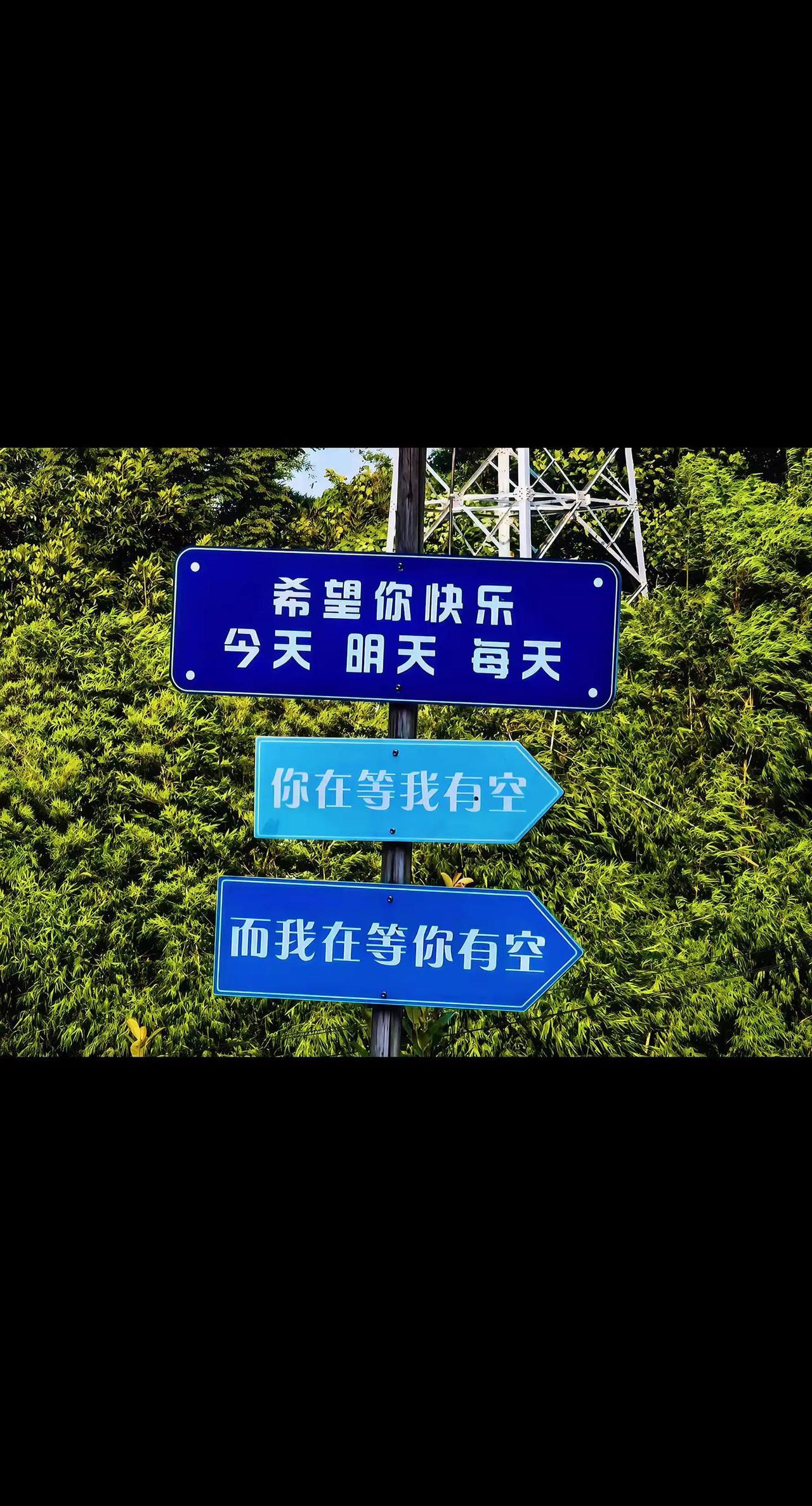 路牌上的话，像一句迟到的告白。"等有空"是最温柔的谎言。年轻时总说"改天聚"，改