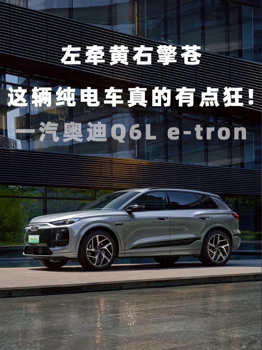一汽奥迪Q6L e-tron家族的💰预售价格终于出来了，各项权益也不错。关键不