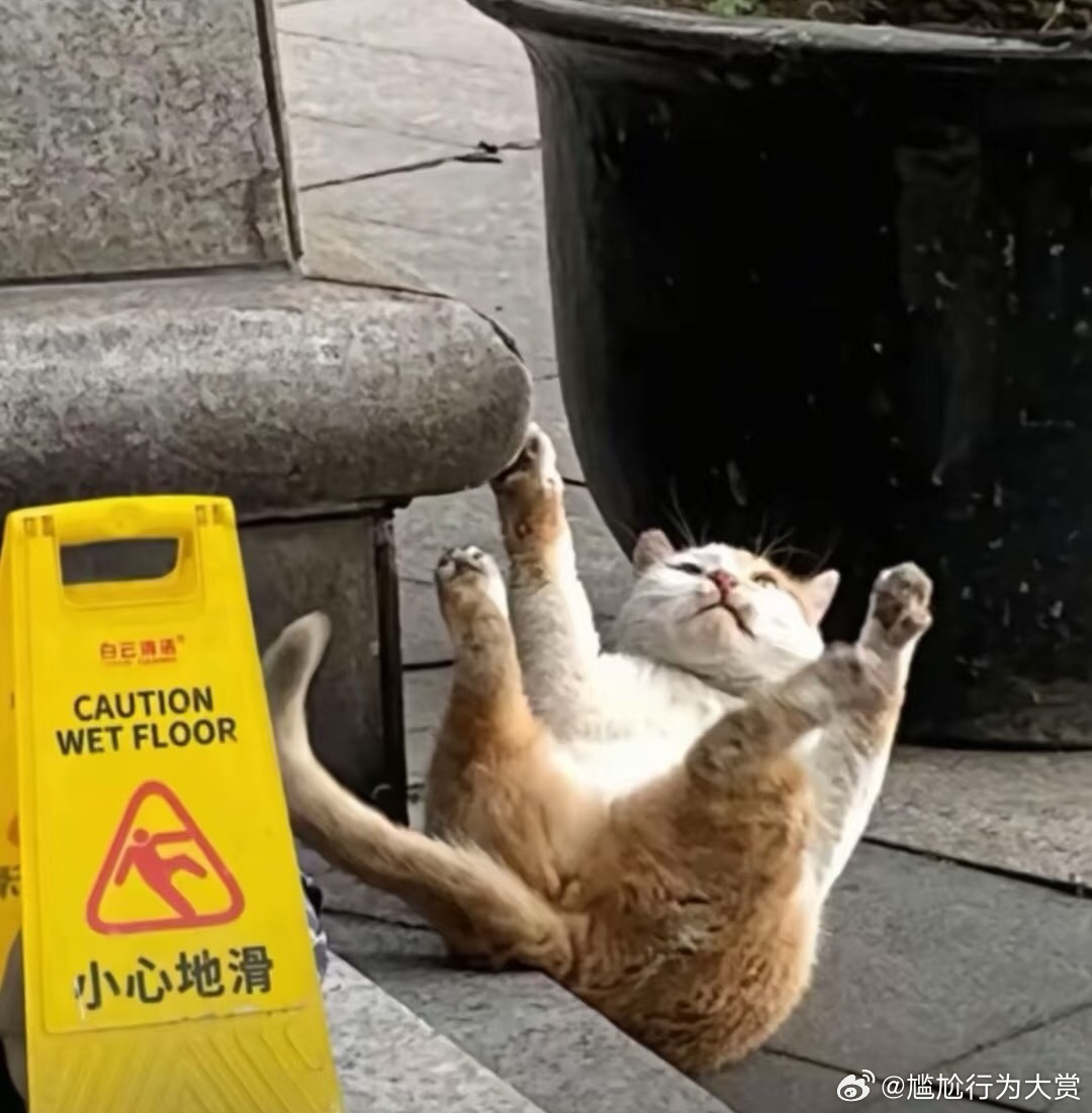 吃了没文化的亏 