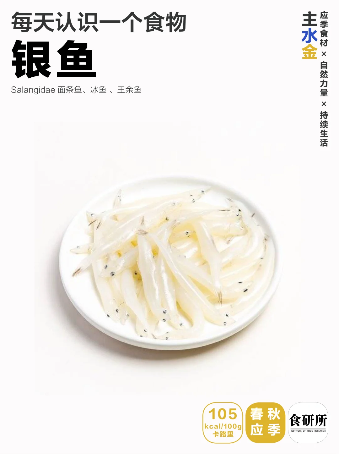 春日低嘌呤 | 银鱼