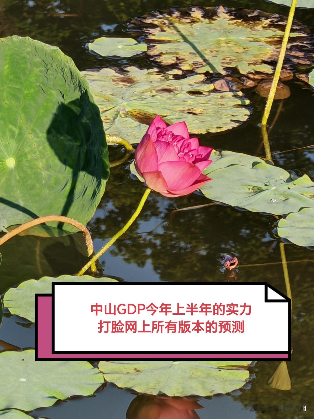 中山市的GDP数据以事实“打脸”所有版本的预测。中山2026年上半年经济数据已公