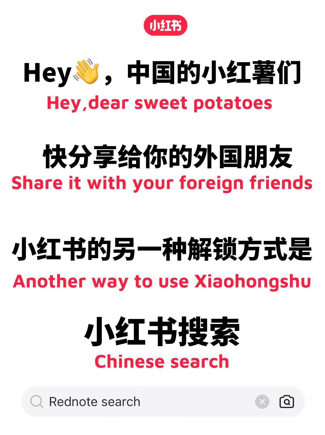 中美网友在小红书上热聊 快告诉他们，🍠其实搜索🔍引擎 