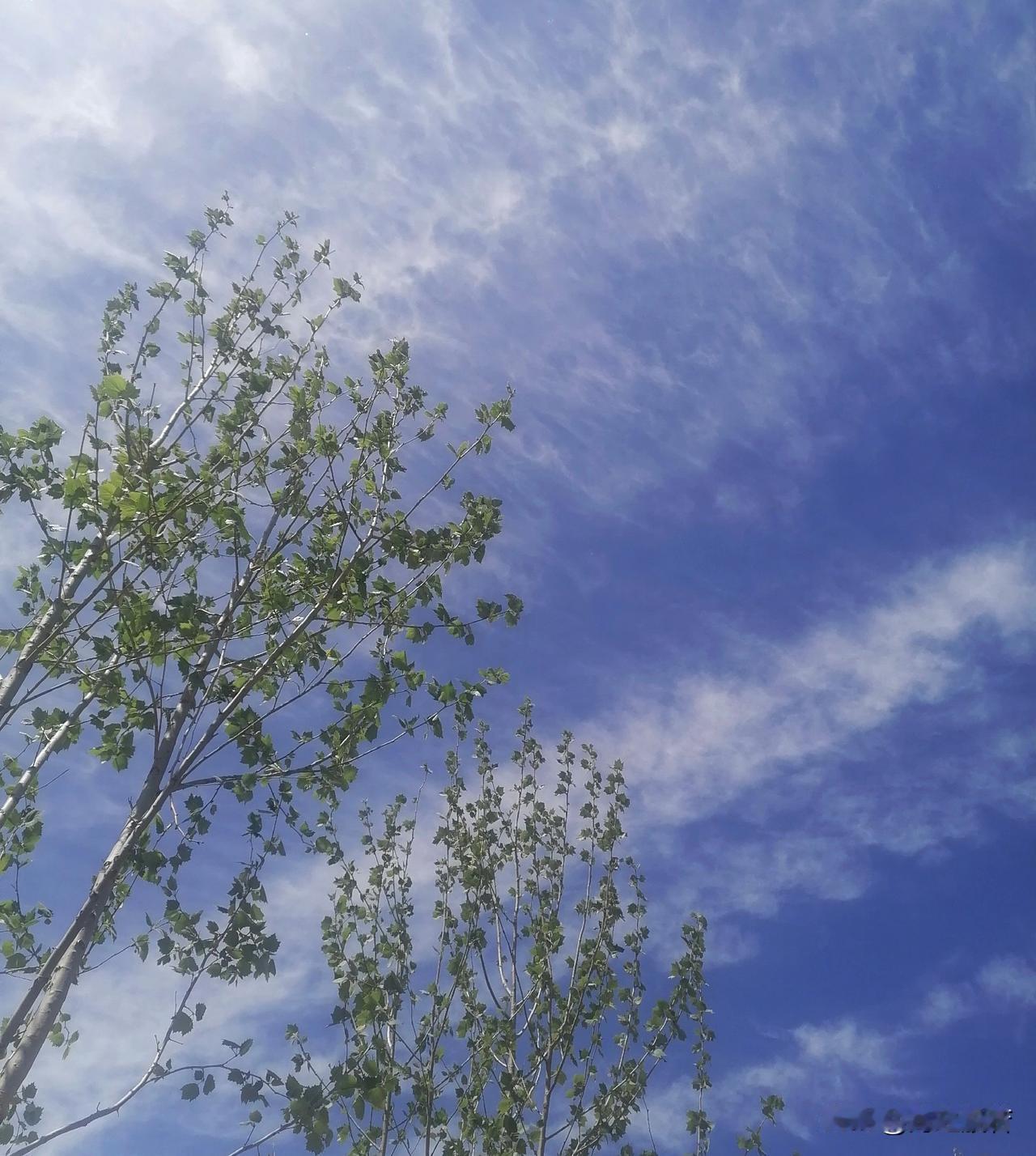 听黄西的一段脱口秀，他是中科院的，说话直接，有人对他说，黄西我给你介绍个对象，她