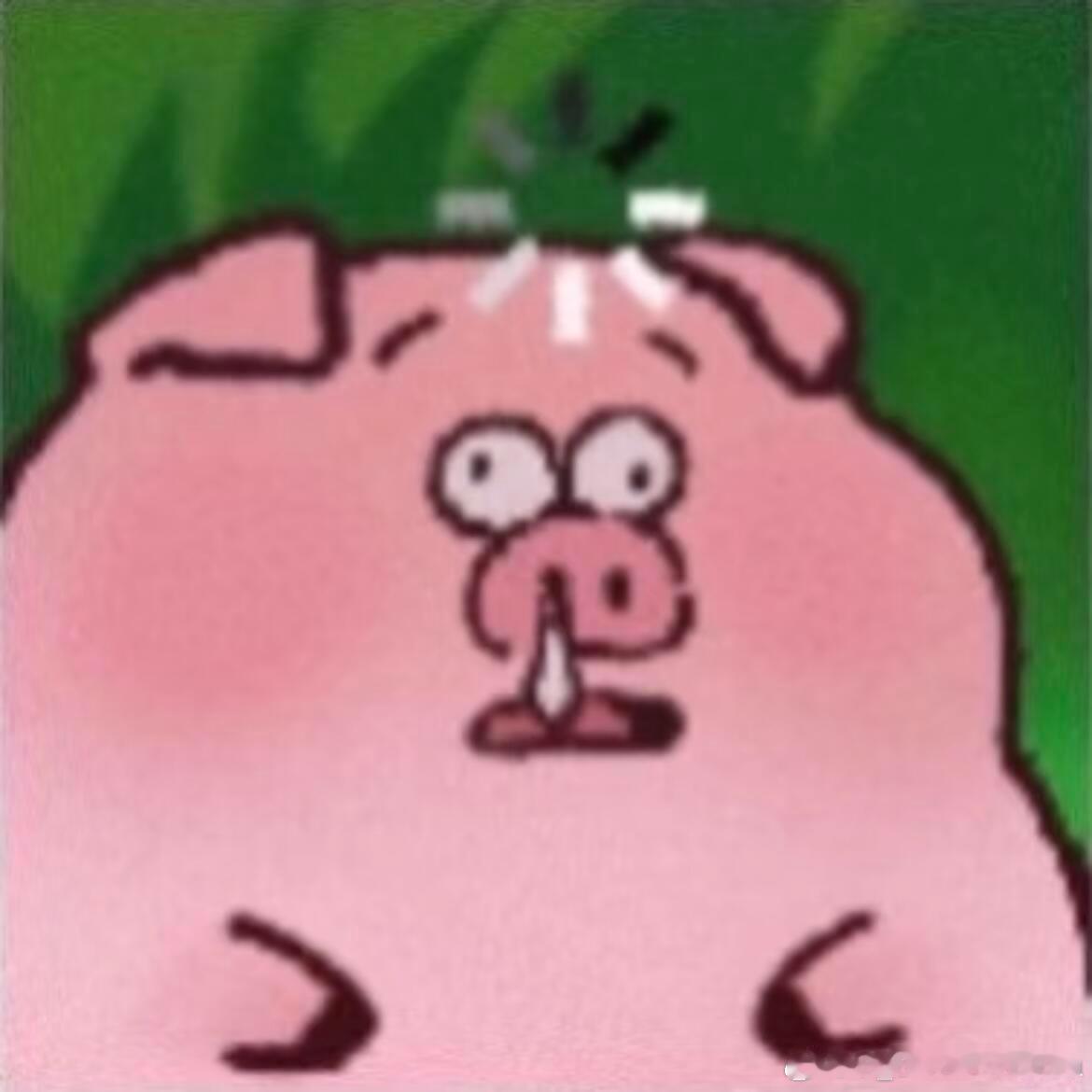 糖巢今天有活动吗？我怎么路过糖巢肯定里面人挤人的