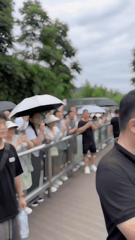 算了，无趣的事情就不提啦～
国宝不愧是国宝，谁能拒绝软乎乎的大熊猫花花，快来一起