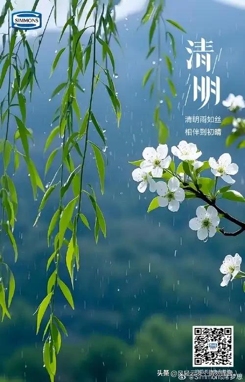 清明时节，
一炷清香，几盘供果，
挂纸寄思，不放鞭炮。
敬告先祖，
子孙平安，家