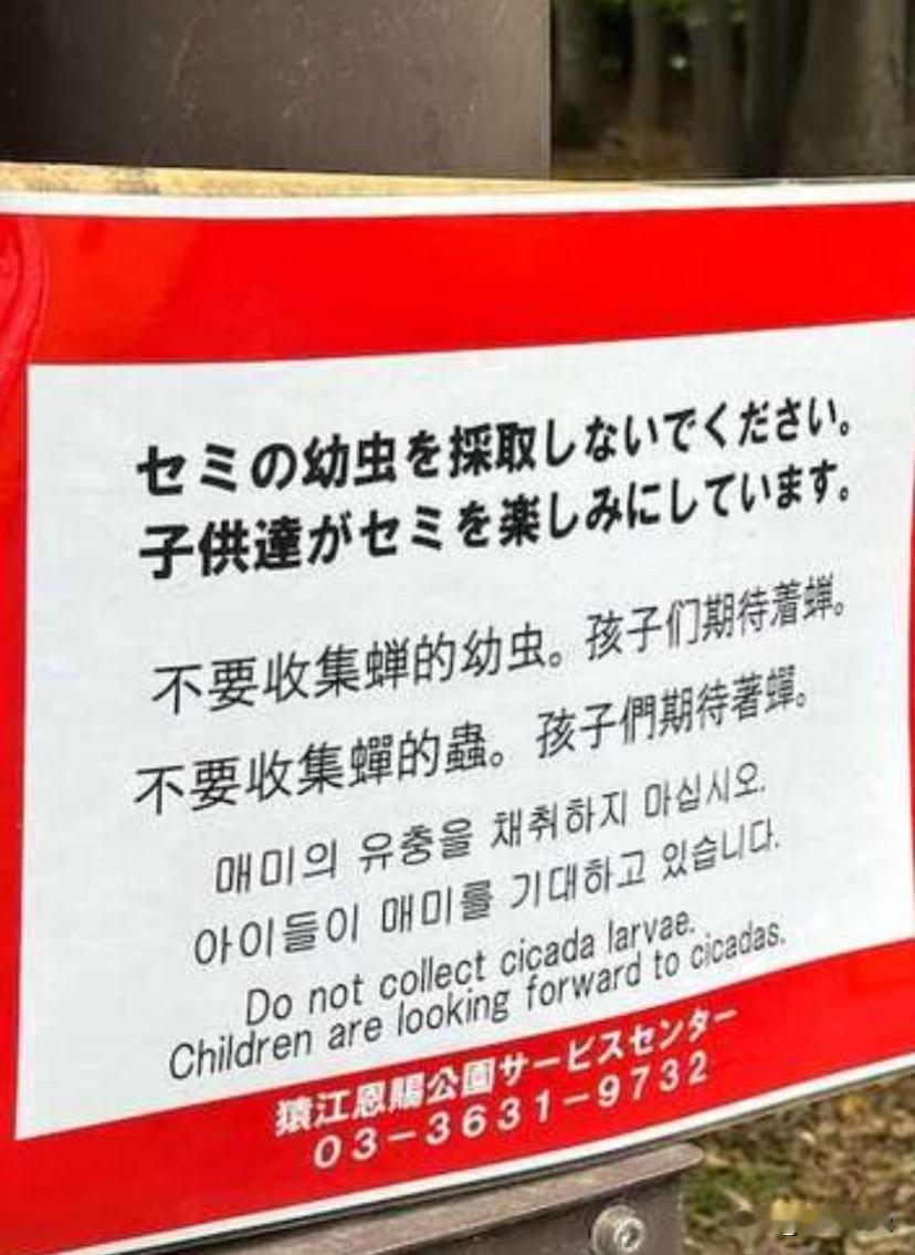 凭什么用汉语警示，而且写在了
牌子的中间，下面的韩语和英语
字小的让人瞅不见。