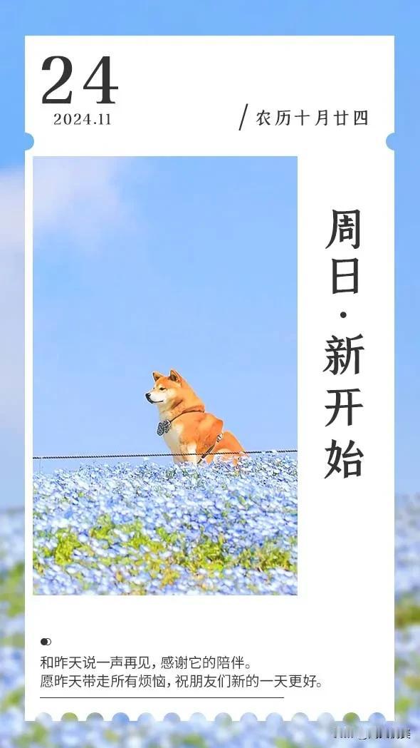 在你最需要我的时候，我来陪伱
人有悲欢离合月有阴晴圆缺
但愿人长久，千里共婵娟。