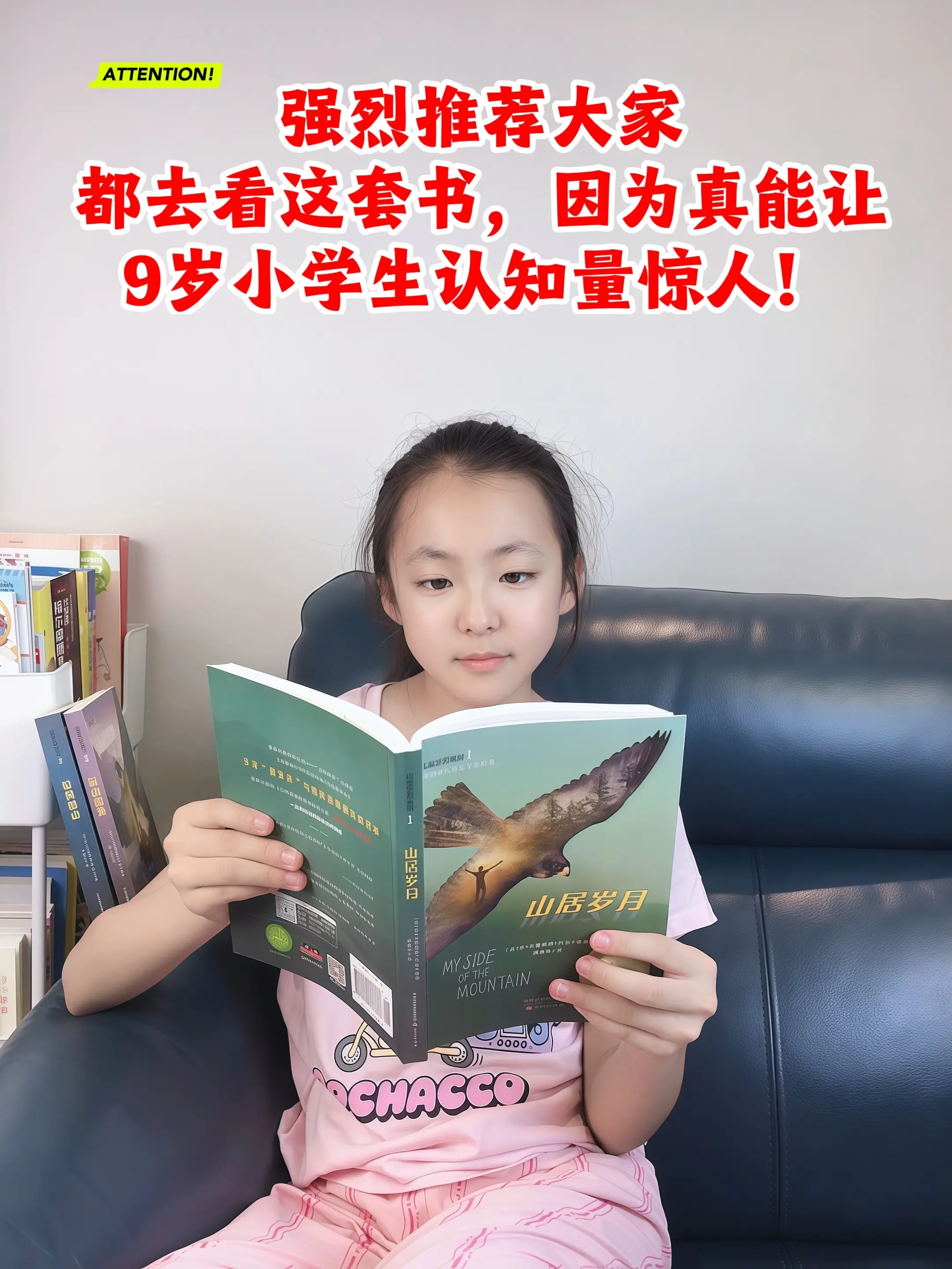 国际大奖，我愿称之为小学生认知力的天花板。这套书讲述的不仅是一个少年从...