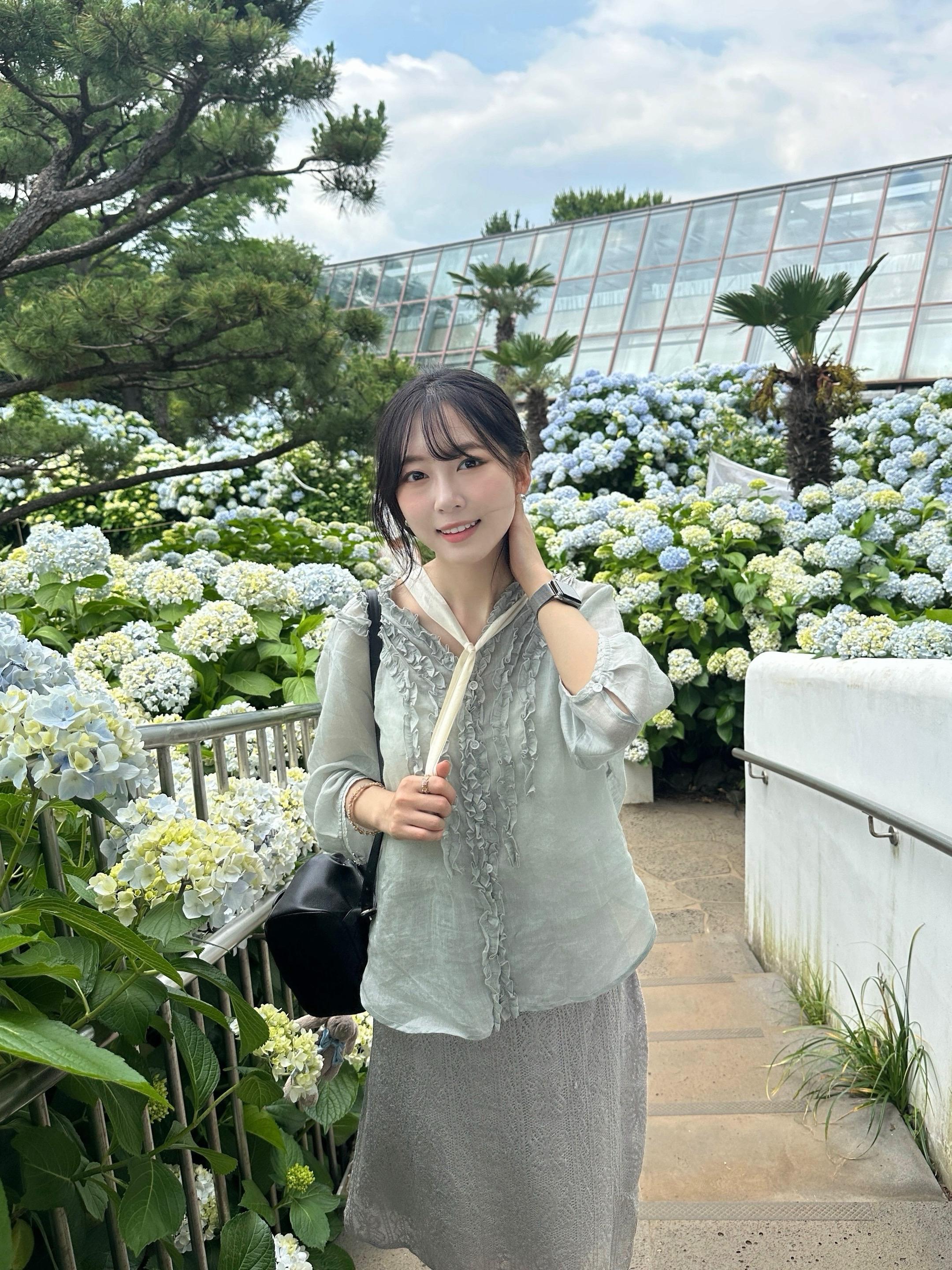 山茶花之丘。