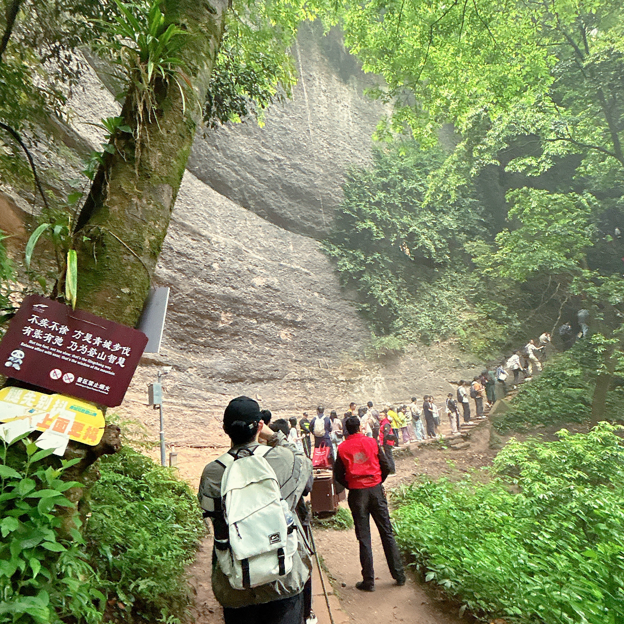 前面发生了什么？前面的人走太慢了五一来爬青城山真是个好主意 