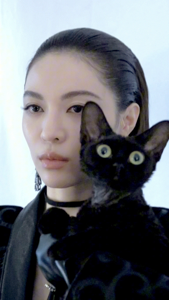 想做钟楚曦的猫  嘉人现场的钟楚曦，活脱脱从画报走出的惊艳存在！背头凸显凌厉气质