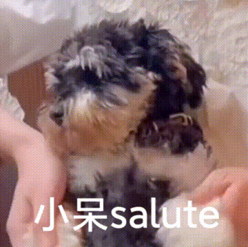 刘宇宁粉丝刘宇宁 大家好呀我们刘宇宁粉丝又红了虽然我还没有准备感言，但是还是很感