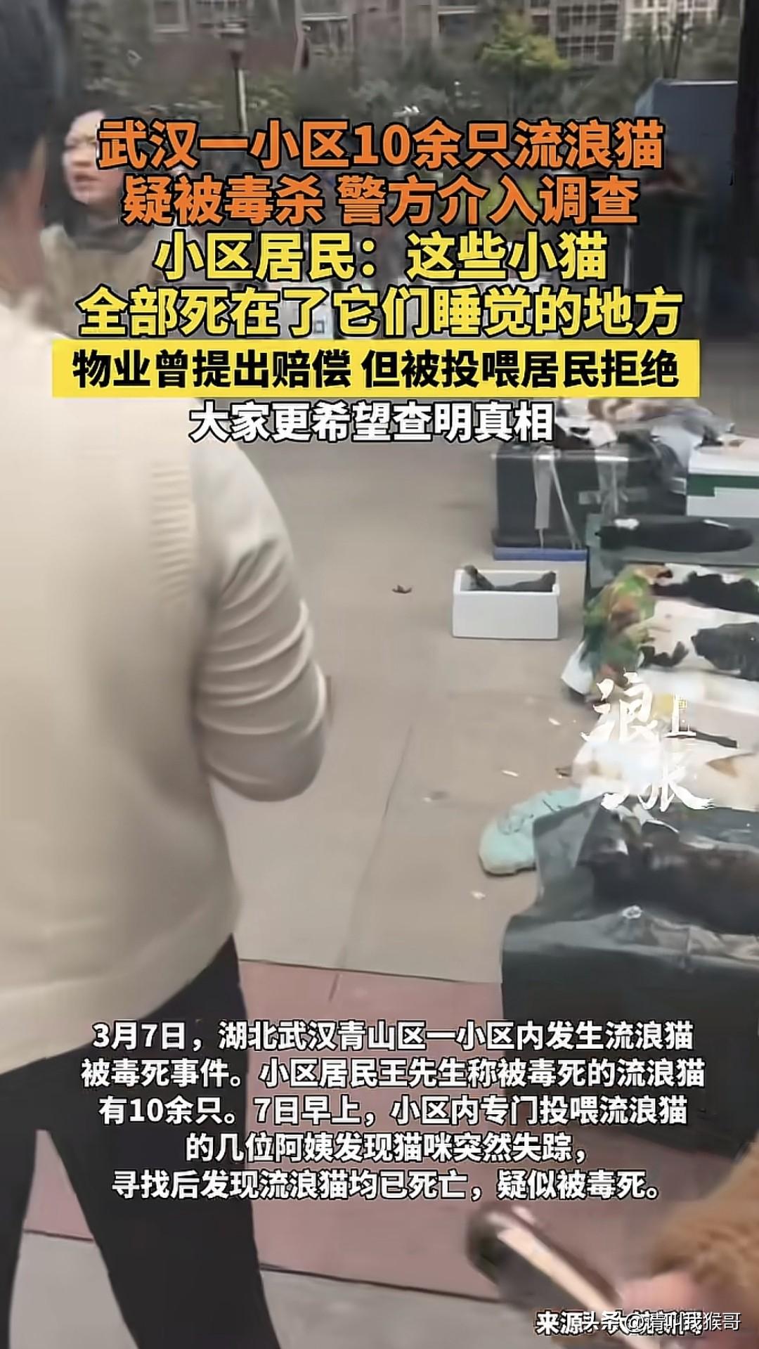 近日，武汉一小区10多只流浪猫疑被毒杀，目前警方已介入调查，如果参照前几个月的“