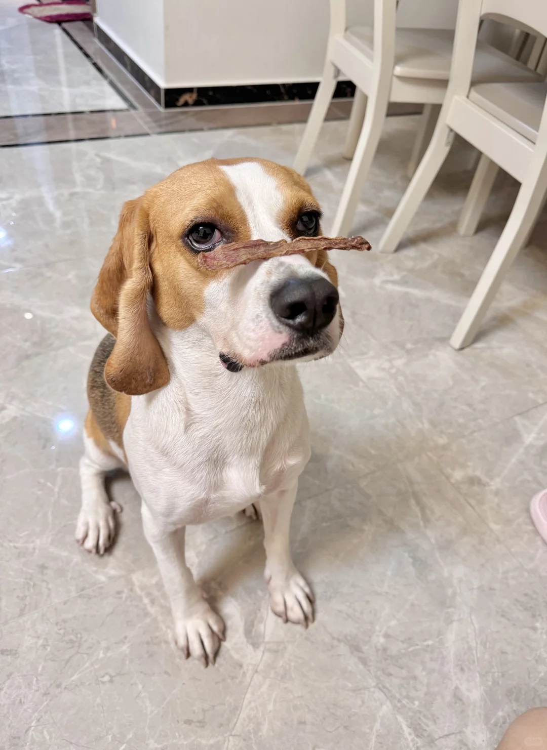 吃点东西怎么这么难