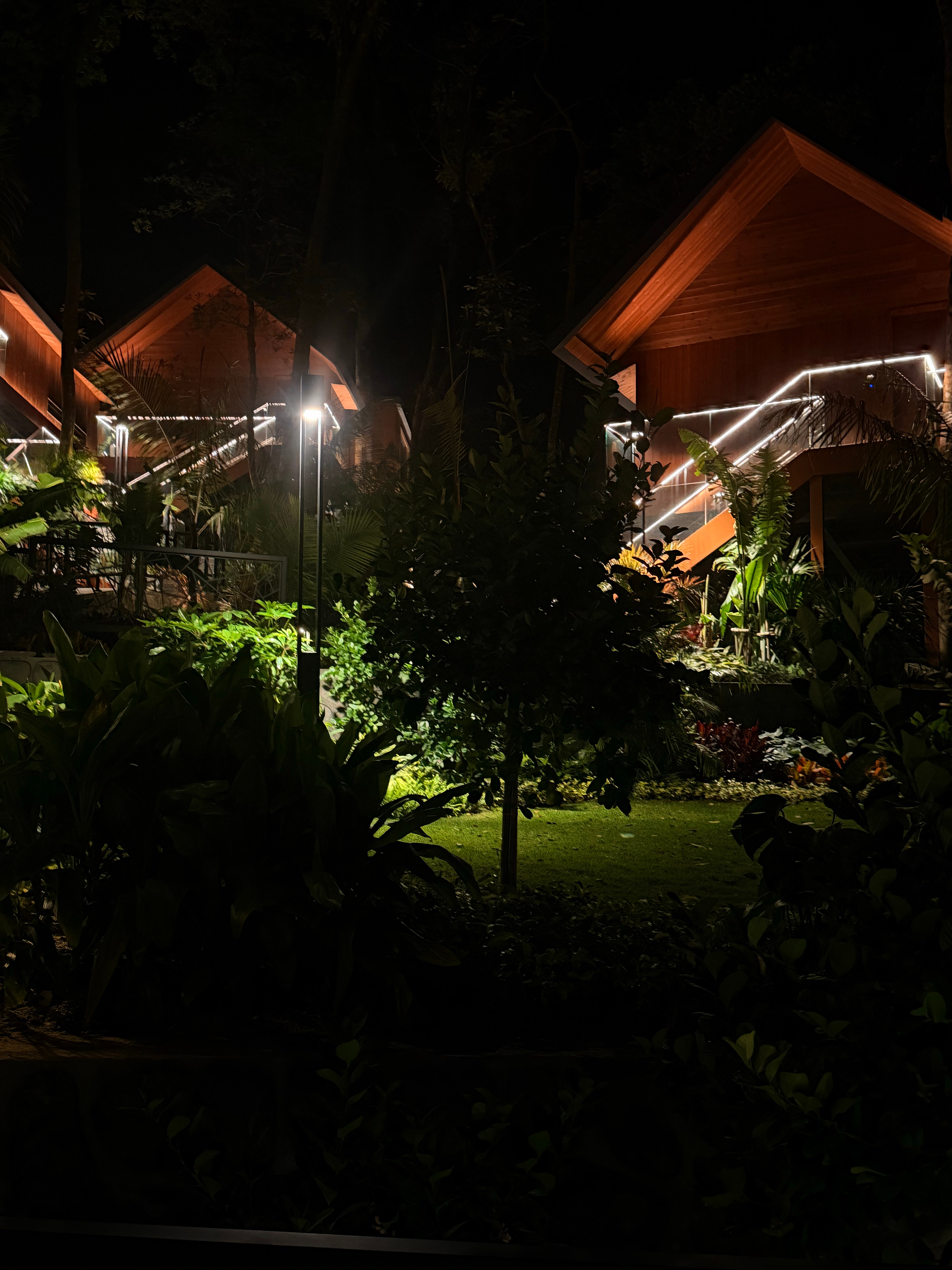 看完阿凡达回去 都十一点了 